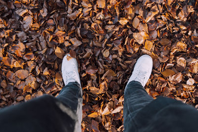 Autumn stroll.