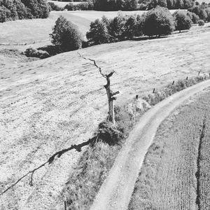 High angle view of snow covered land