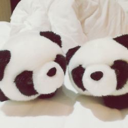 Close-up of white background