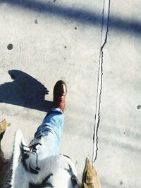 Low section of man standing on road