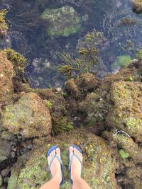Low section of woman standing on rock by water