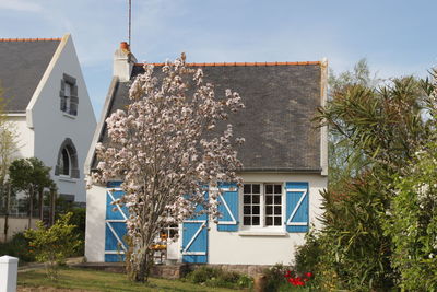 Low angle view of house