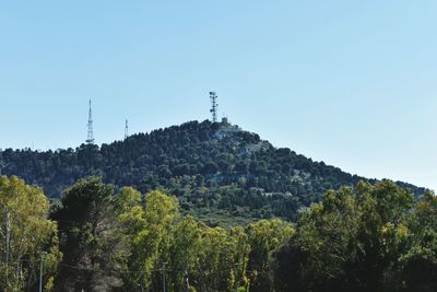 Low angle view of trees against clear sky