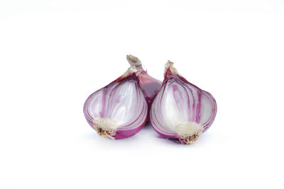 Close-up of garlic against white background