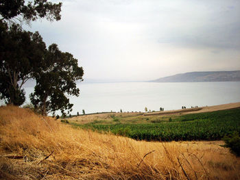 Scenic view of landscape against cloudy sky