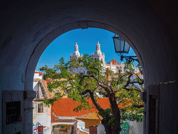 Low angle view of trees and buildings against sky