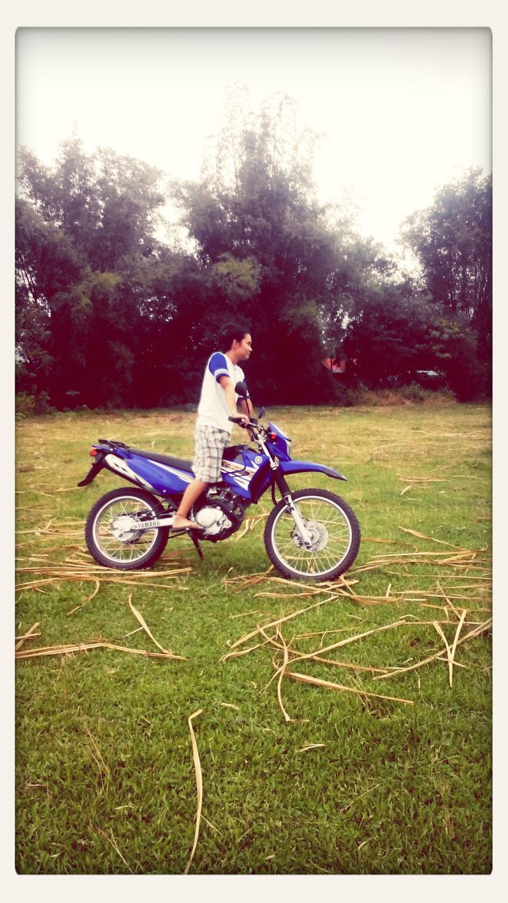 bicycle, land vehicle, mode of transport, transportation, grass, full length, tree, riding, leisure activity, lifestyles, childhood, field, auto post production filter, side view, stationary, transfer print, grassy, cycling