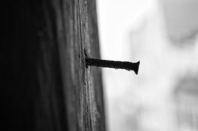 Close-up of wooden door