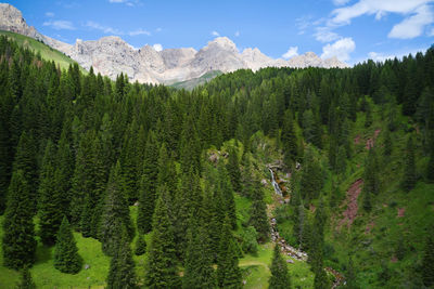 Aerial view of a waterfall in the forests of trentino