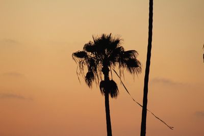 Low angle view of silhouette coconut palm tree against sky during sunset