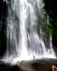 View of waterfall in forest