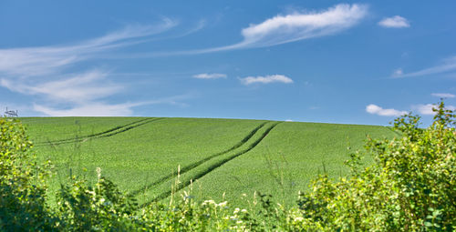 Scenic view of field against sky