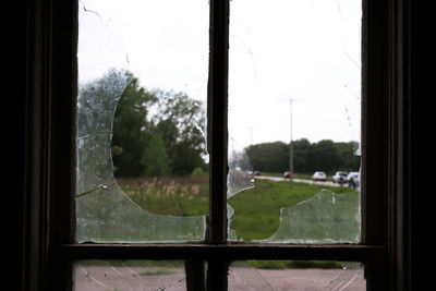 View of trees seen through window