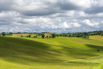 Scenic view of golf course against sky