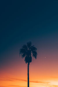 Low angle view of silhouette coconut palm tree against romantic sky