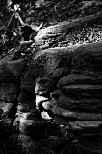 Close-up of rock formation