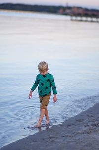 Rear view of boy on beach