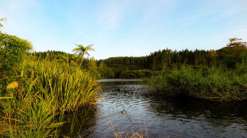 Scenic view of lake against sky