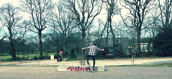 People walking on bare trees in city