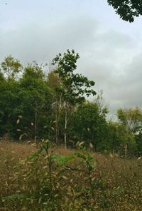 Scenic view of field against cloudy sky