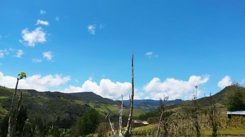 Scenic view of landscape against cloudy sky