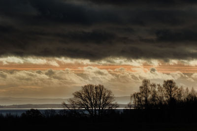 Silhouette of trees against cloudy sky