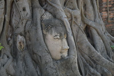 Statue of buddha in temple