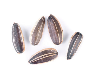 High angle view of eggs against white background