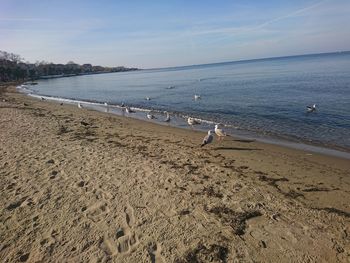Scenic view of beach against sky