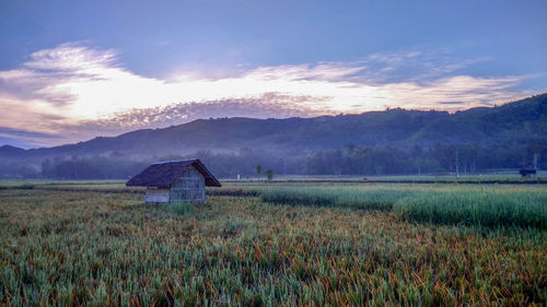 Scenic view of field against dramatic sky