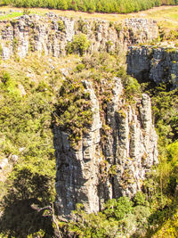 View of trees on cliff