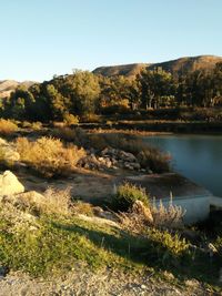 Scenic view of lake