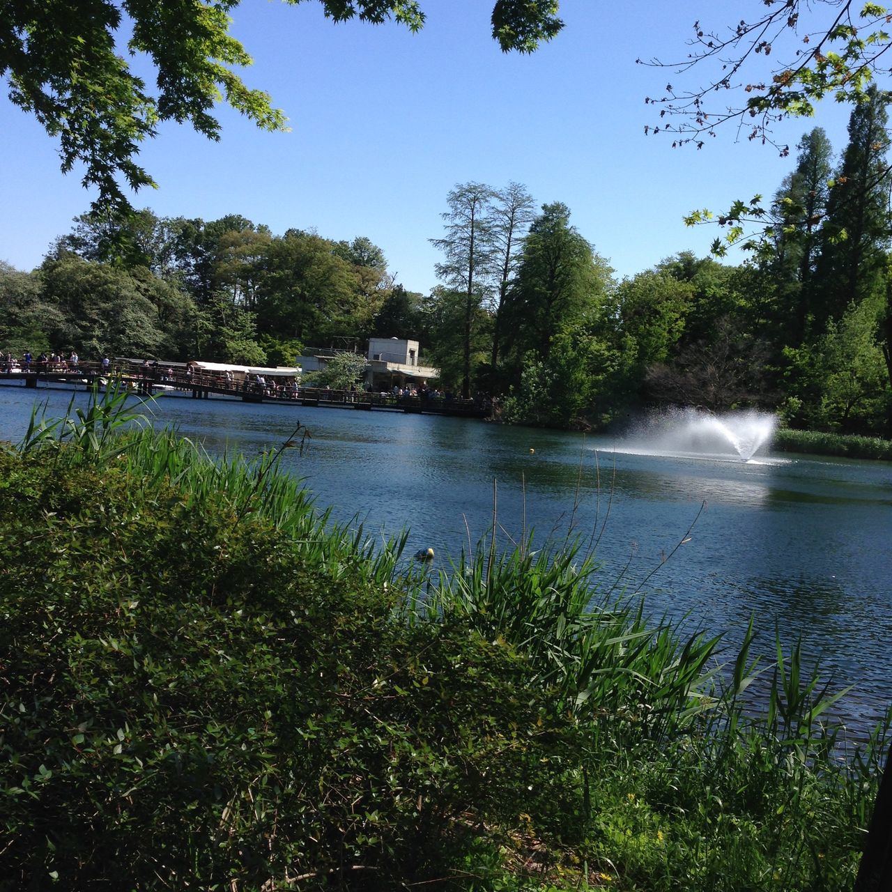 SCENIC VIEW OF LAKE AND TREES AGAINST SKY