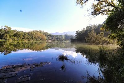 Scenic view of lake by trees against sky