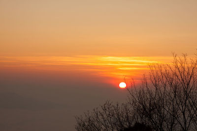 Scenic view of silhouette trees against romantic sky at sunset