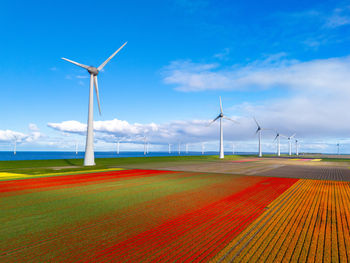 Windmills on field against sky