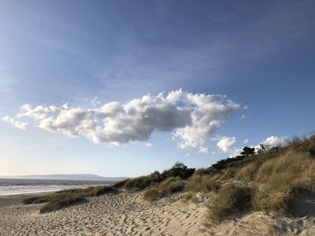 Scenic view of beach against sky