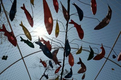 Leaves on ground