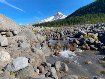 A snow-capped mount hood rising above a flowing creek.