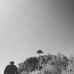 Rear view of man walking by trees against sky