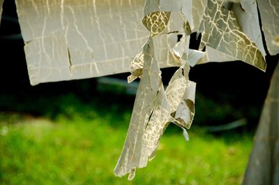 Close-up of clothespins hanging on clothesline