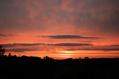 Silhouette trees against orange sky