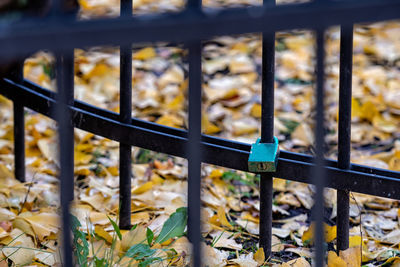 Full frame shot of metal grate