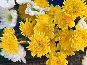 Close-up of yellow flowers