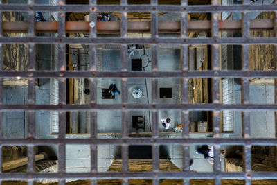 Close-up of bird in cage