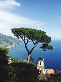 High angle view of tree by sea against sky