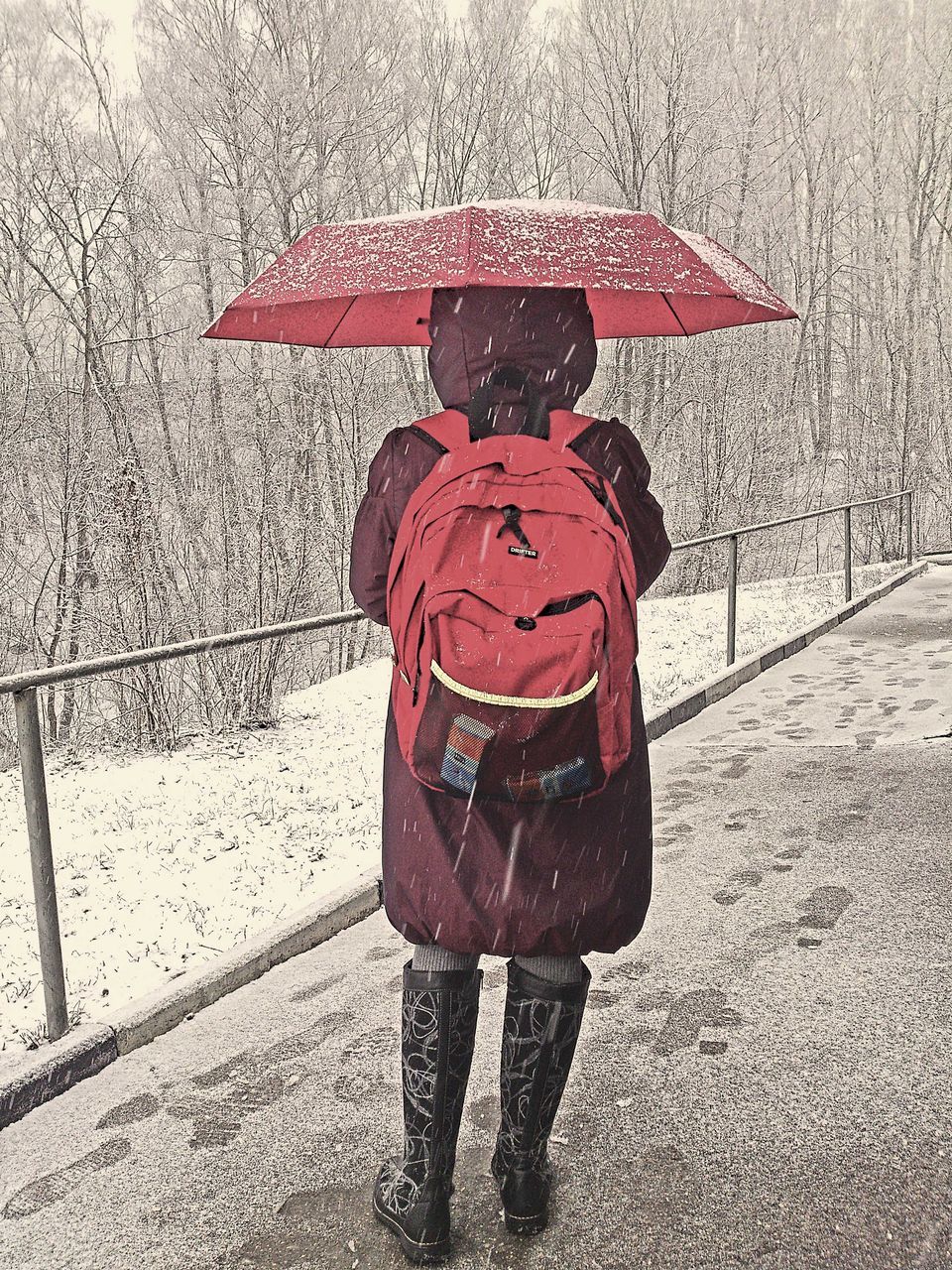 REAR VIEW OF A PERSON STANDING WITH UMBRELLA