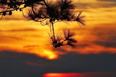 Silhouette tree against orange sky