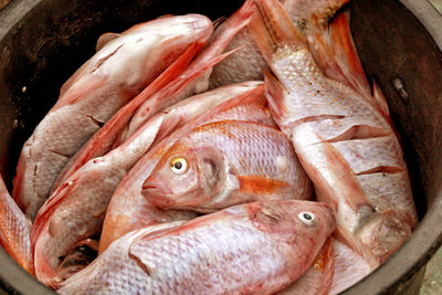 Close-up of fish for sale in market