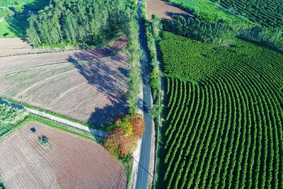 Aerial view of contryside and rural scene